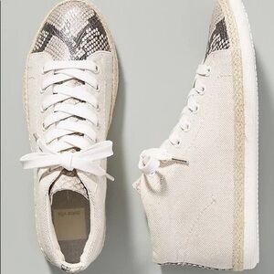 Dolce Vita Akello Canvas and Snake Printed High-Top Sneakers Size 8.5 with Box